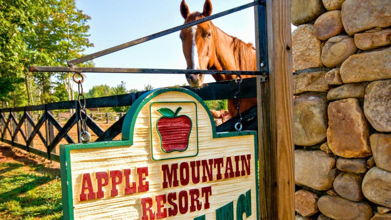 Holiday Inn Club Vacations Apple Mountain Resort At Clarkesville Luaran gambar